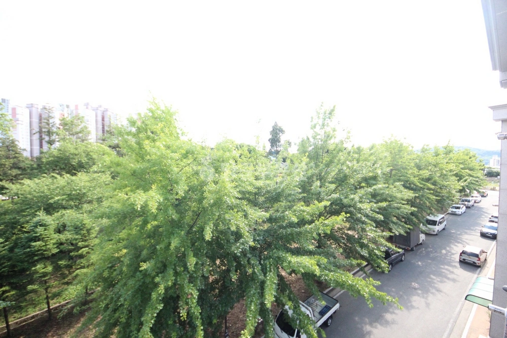 충청남도 아산시 용화동 원룸 사진 1
