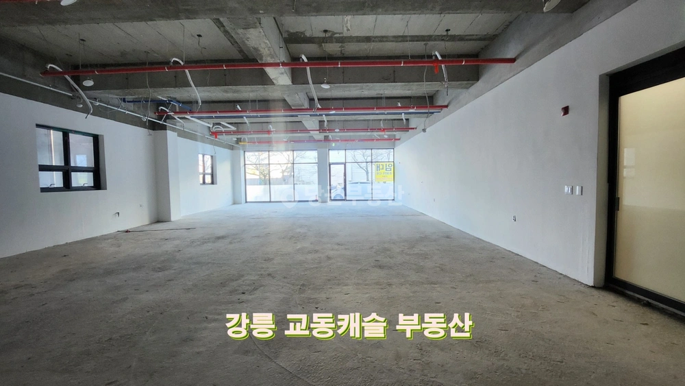강원특별자치도 강릉시 교동 상가 사진 1