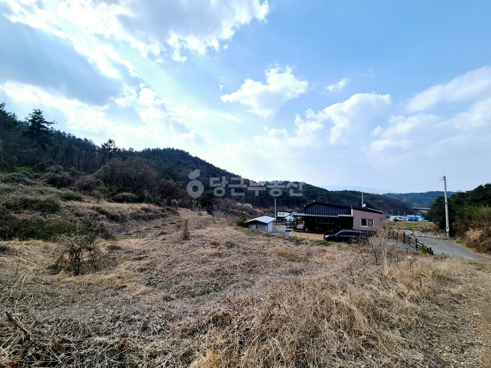 경상북도 경산시 진량읍 토지 사진 1