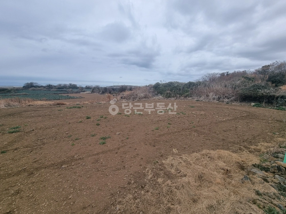 제주특별자치도 서귀포시 대정읍 토지 사진 1