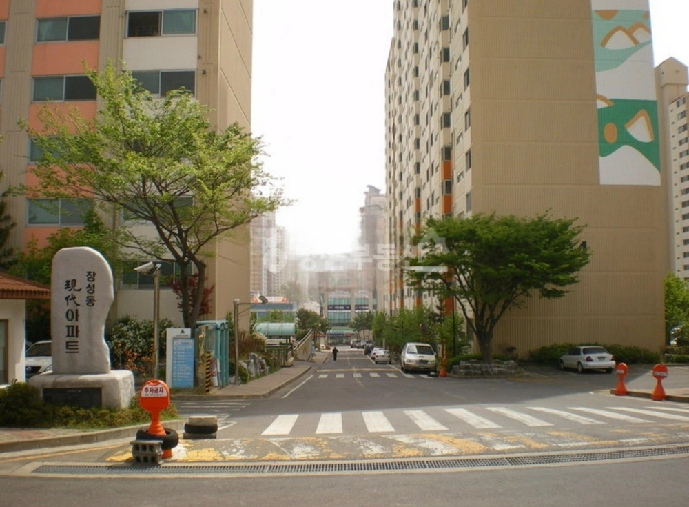 경상북도 포항시 북구 장성동 아파트 사진 1