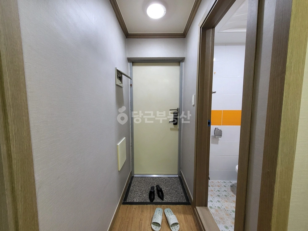제주특별자치도 서귀포시 성산읍 원룸 사진 1