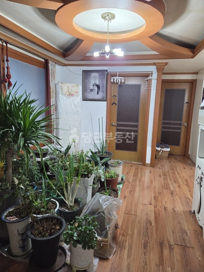 서울특별시 강서구 화곡동 단독/전원주택 사진 1