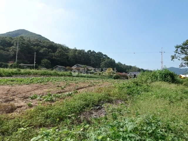 인천광역시 강화군 불은면 토지 사진 1