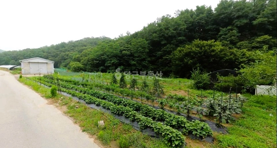 경기도 남양주시 와부읍 토지 사진 1