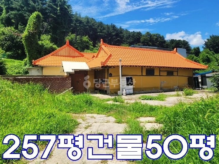 인천광역시 강화군 강화읍 단독/전원주택 사진 1