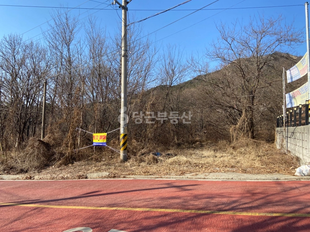 인천광역시 강화군 삼산면 토지 사진 1