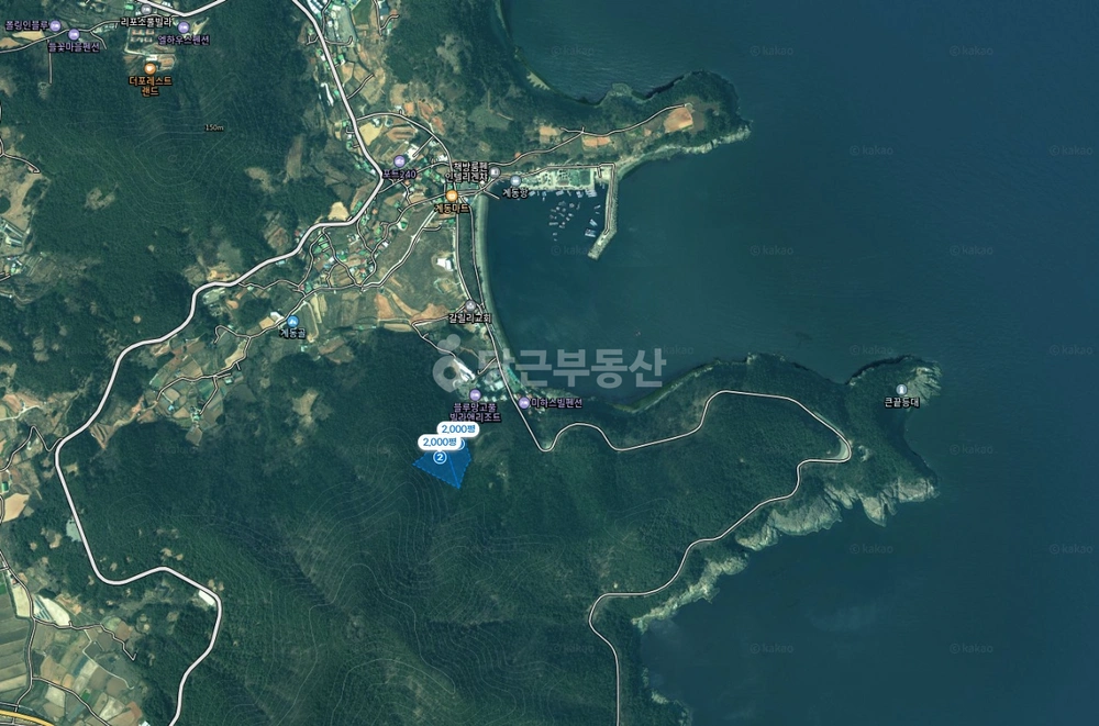 전남광주통합특별시 여수시 돌산읍 토지 사진 1