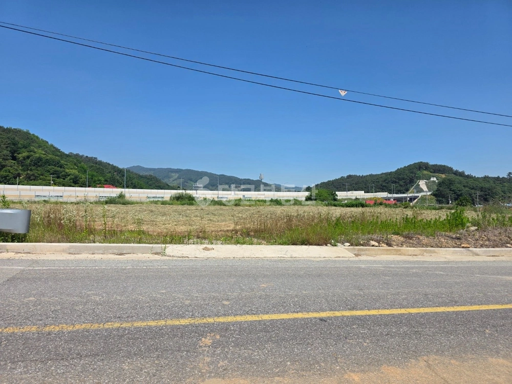 충청남도 부여군 규암면 토지 사진 1