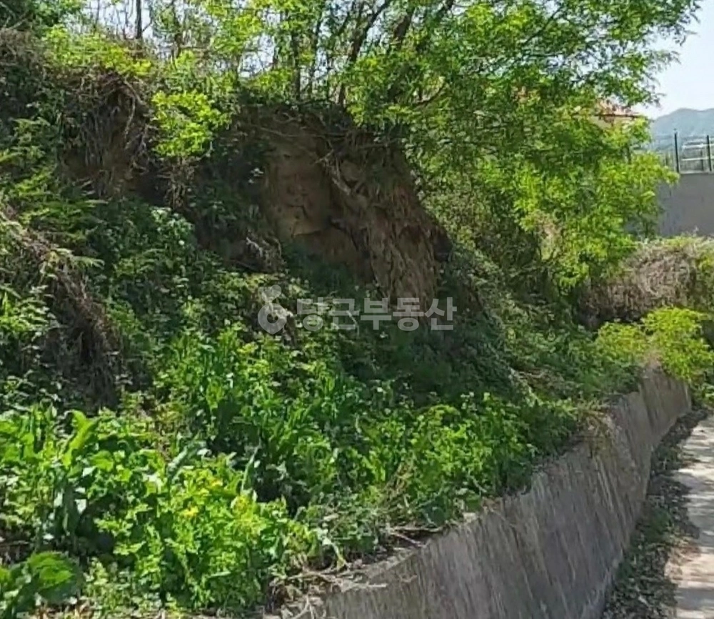 경상북도 칠곡군 석적읍 토지 사진 1