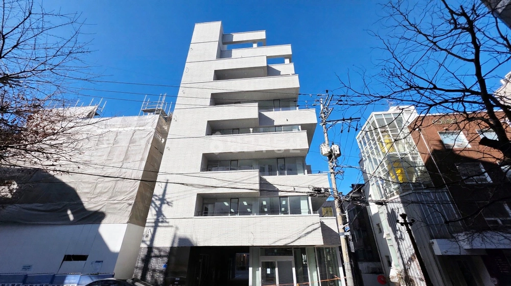 서울특별시 강남구 논현동 건물 사진 1