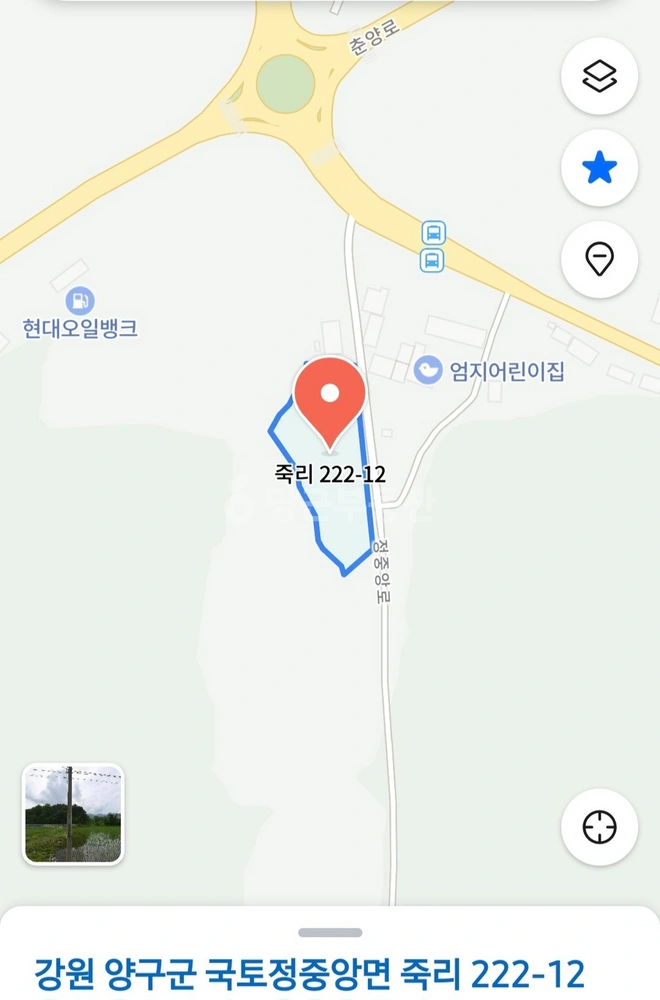강원특별자치도 양구군 국토정중앙면 토지 사진 1
