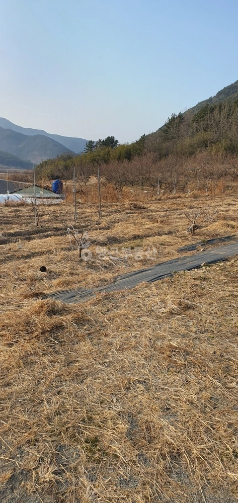 경상남도 사천시 사남면 토지 사진 1