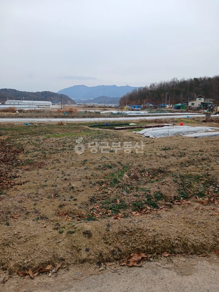경상남도 창녕군 창녕읍 토지 사진 1