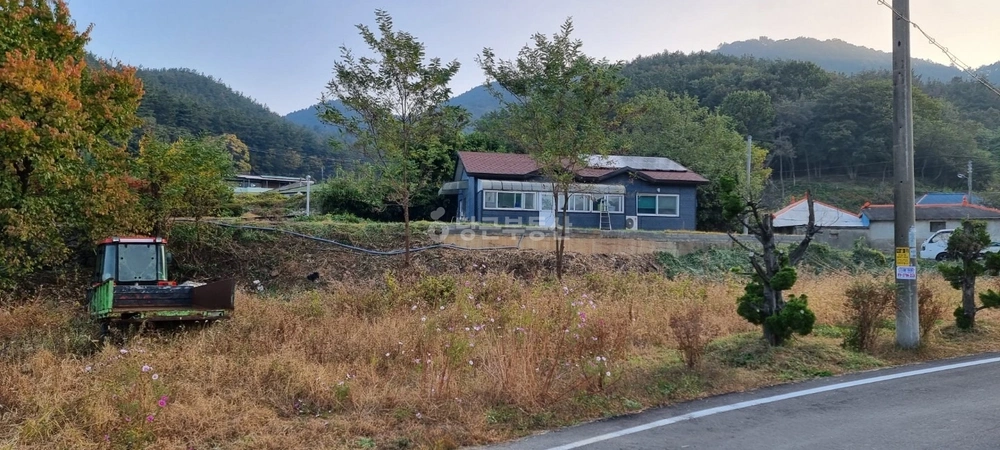 충청남도 서천군 비인면 단독/전원주택 사진 1