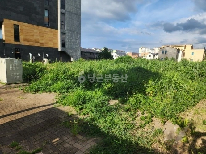 제주특별자치도 제주시 도련일동 토지 사진 1