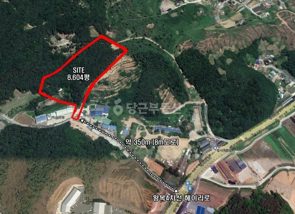 경기도 파주시 탄현면 토지 사진 1
