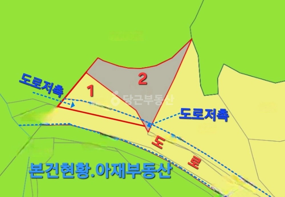 대구광역시 달성군 다사읍 토지 사진 1