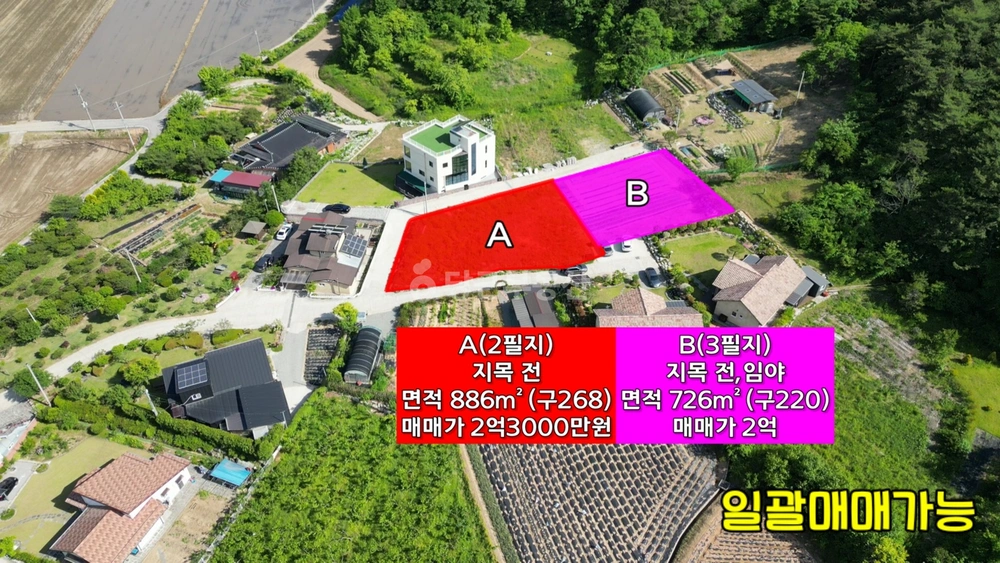 전남광주통합특별시 장성군 황룡면 토지 사진 1