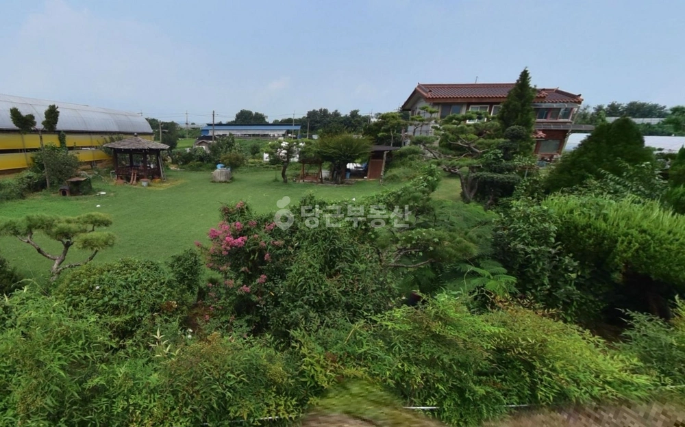 경기도 안성시 대덕면 토지 사진 1