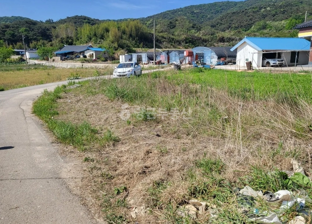 전북특별자치도 고창군 부안면 토지 사진 1