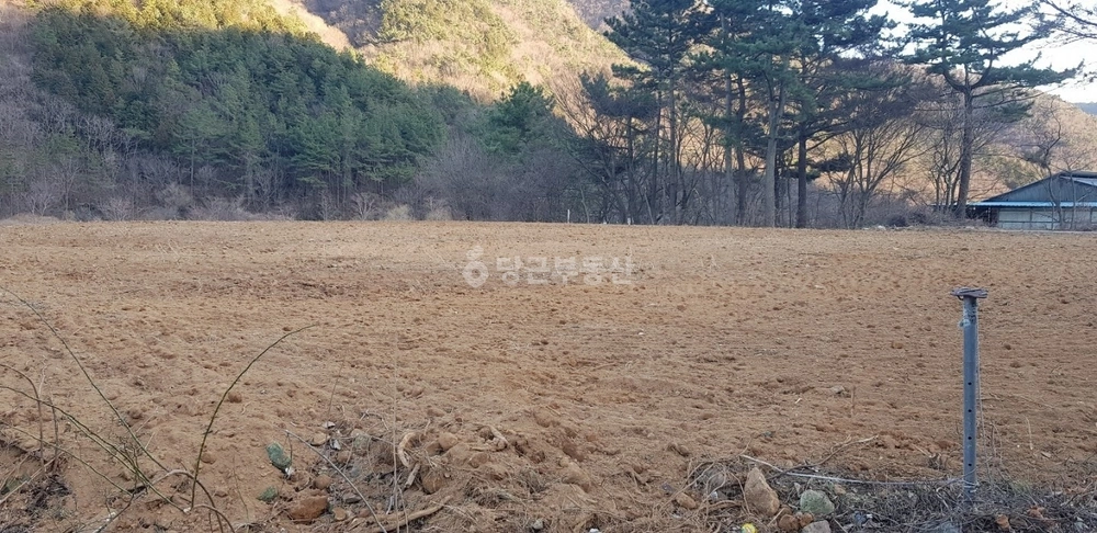 경상남도 남해군 삼동면 토지 사진 1