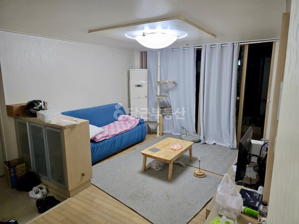 부산광역시 사하구 장림동 아파트 사진 1
