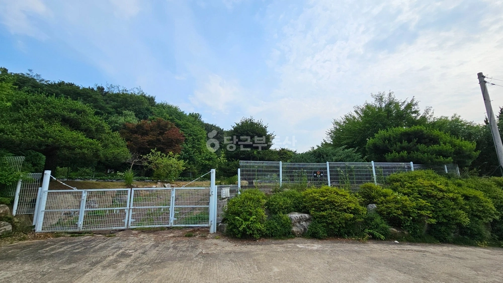 경기도 고양시 덕양구 효자동 토지 사진 1