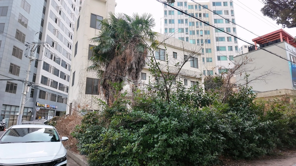 제주특별자치도 제주시 연동 건물 사진 1