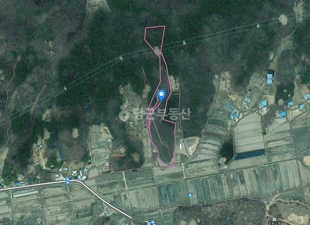 충청남도 보령시 청라면 토지 사진 1