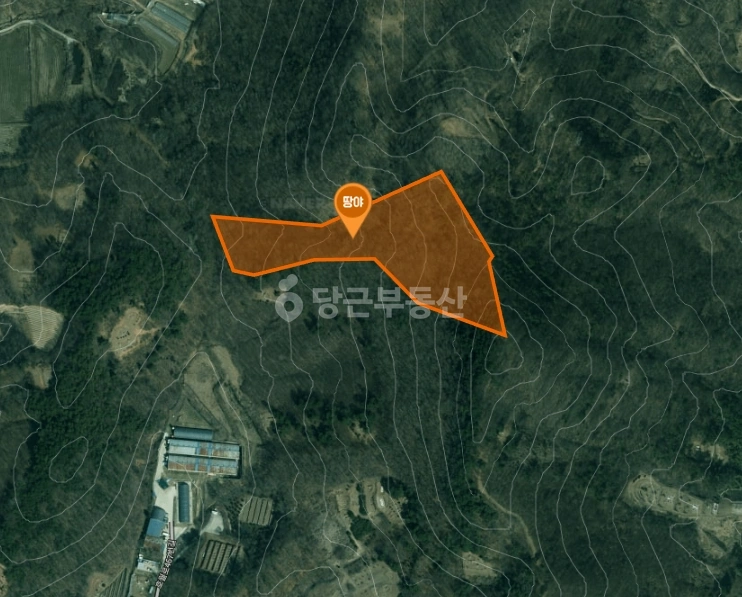 충청남도 논산시 노성면 토지 사진 1