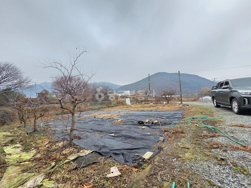 충청북도 청주시 상당구 가덕면 토지 사진 1