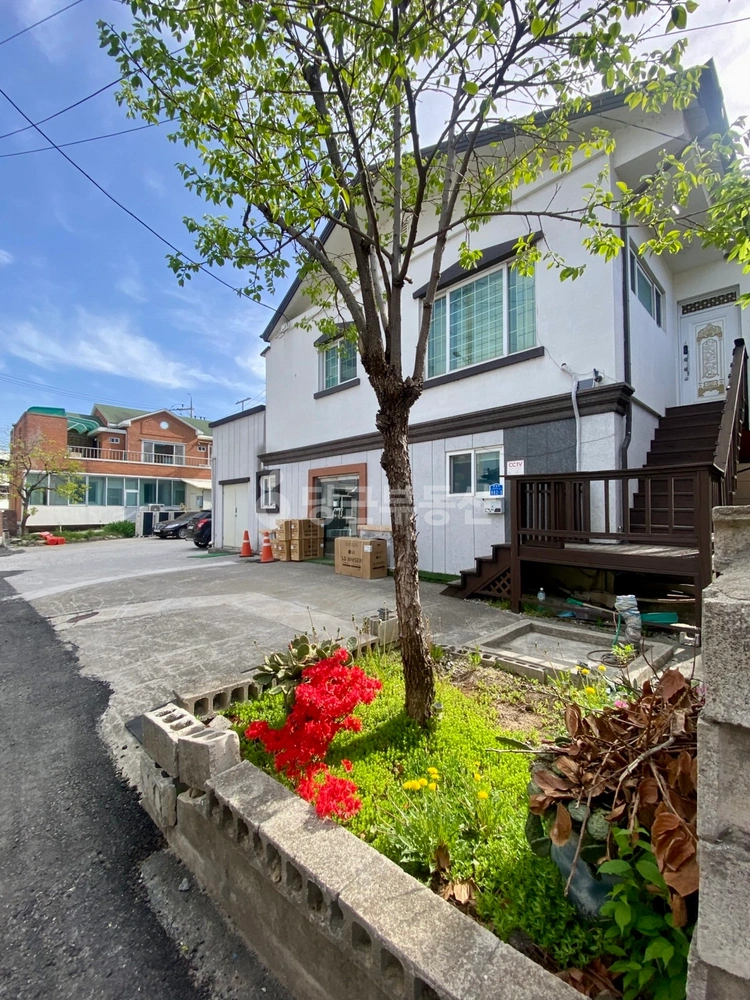 강원특별자치도 강릉시 내곡동 상가 사진 1