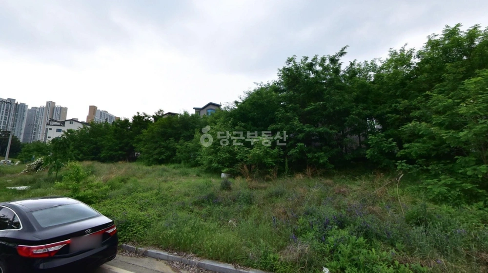 대구광역시 달성군 구지면 토지 사진 1