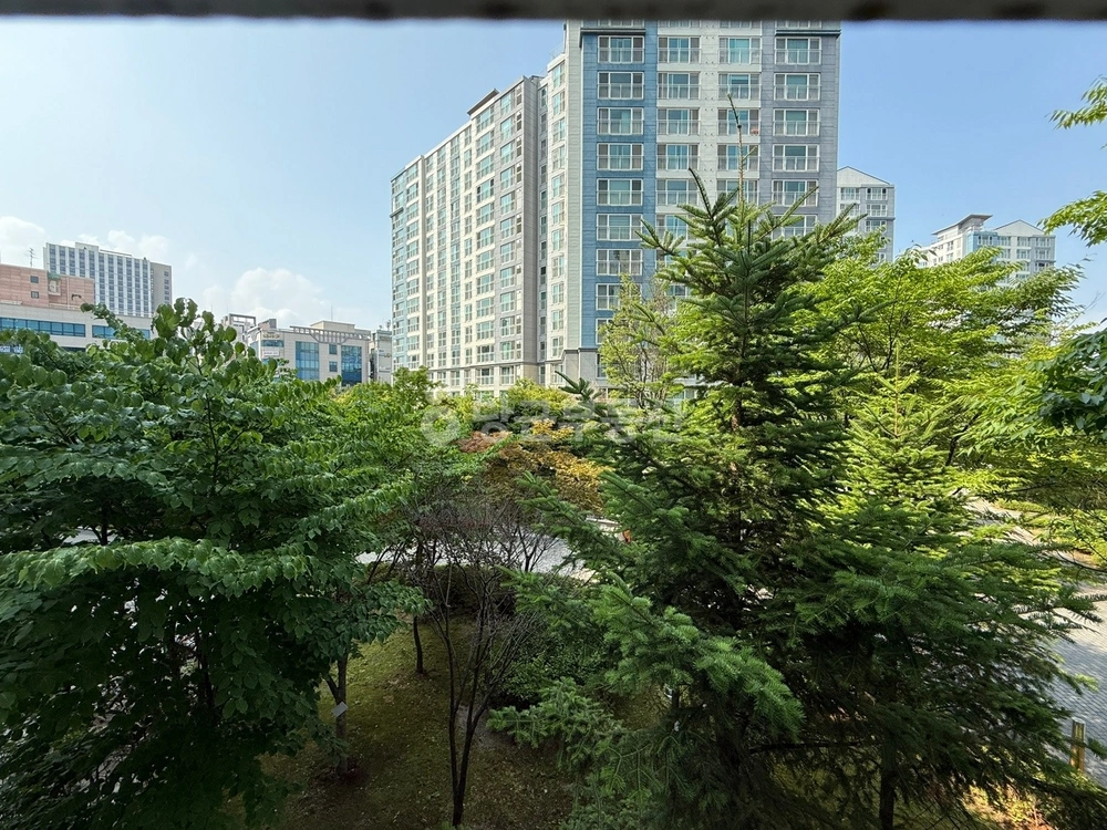 강원특별자치도 춘천시 퇴계동 아파트 사진 1
