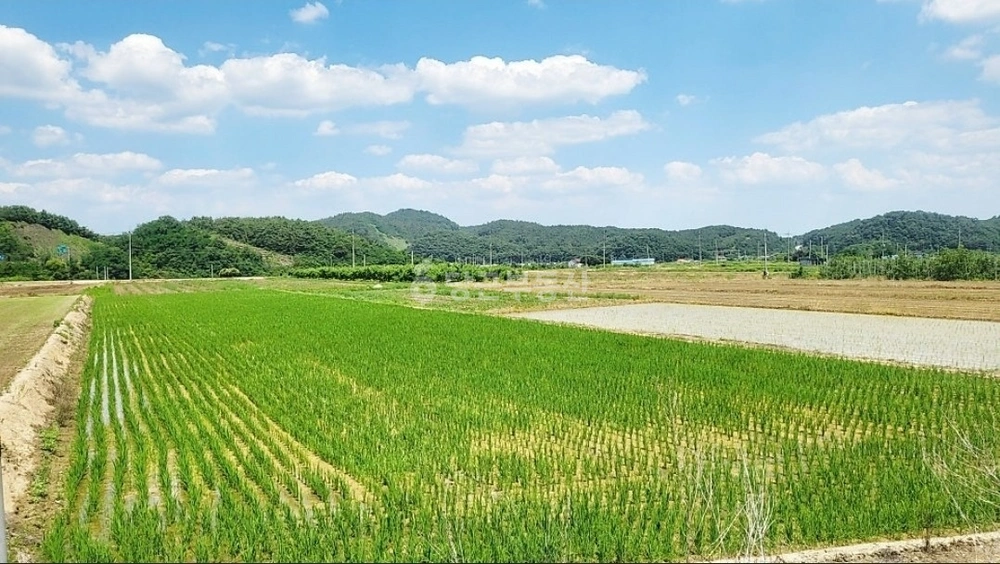 경상북도 영천시 화산면 토지 사진 1