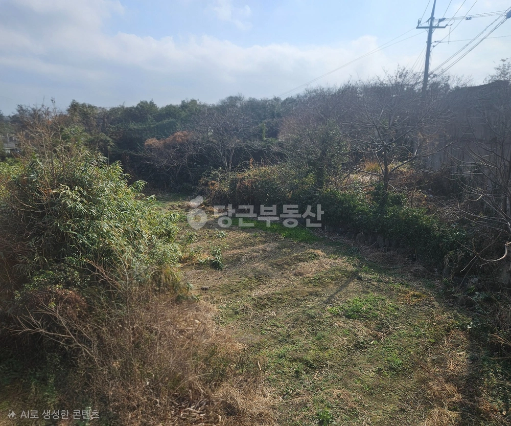 제주특별자치도 제주시 화북일동 토지 사진 1