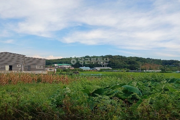 전북특별자치도 군산시 개정동 단독/전원주택 사진 1
