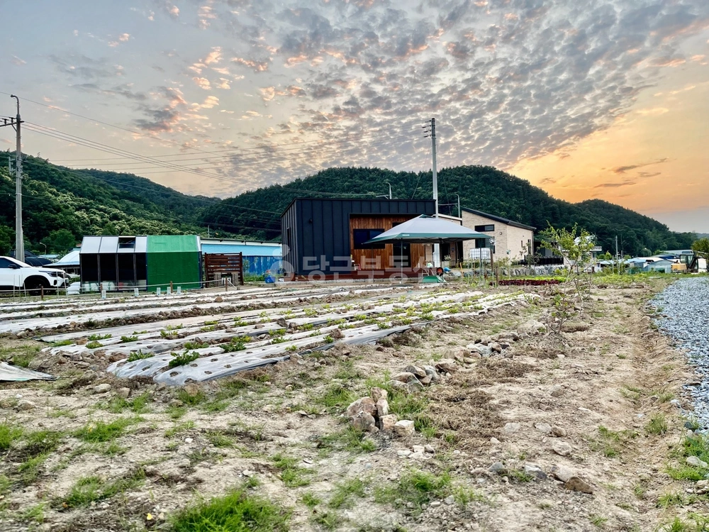 충청남도 청양군 대치면 토지 사진 1