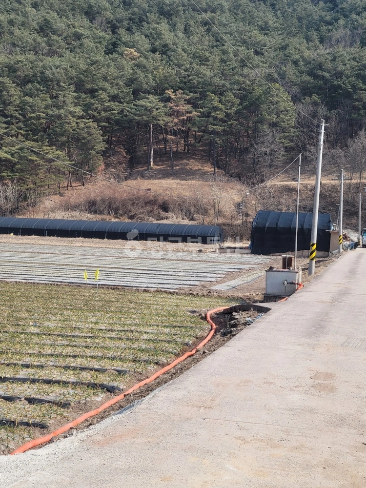 경상남도 의령군 유곡면 토지 사진 1