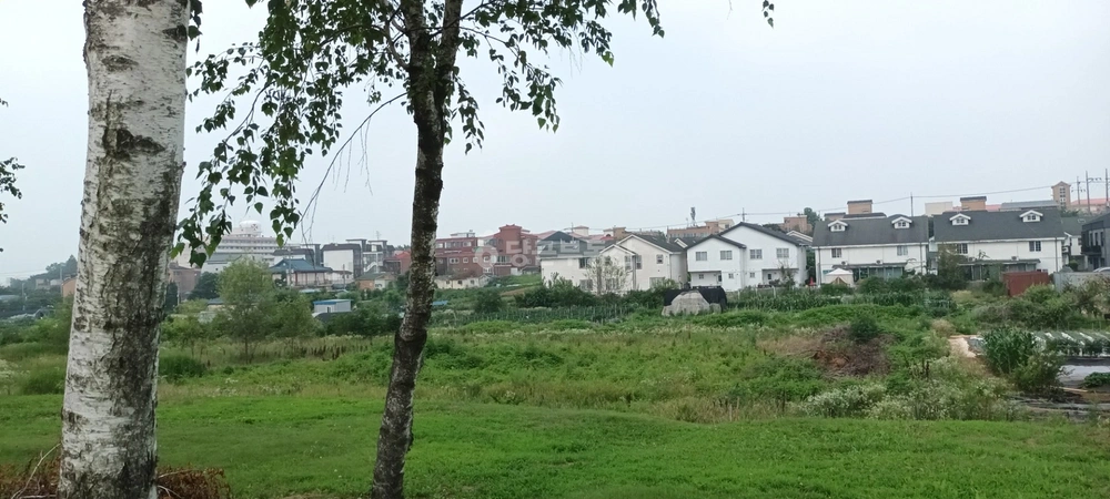 경기도 평택시 팽성읍 단독/전원주택 사진 1