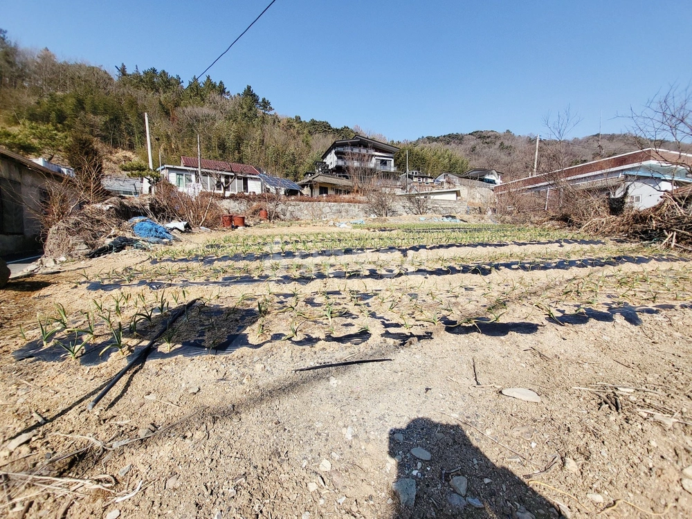 전남광주통합특별시 화순군 화순읍 토지 사진 1