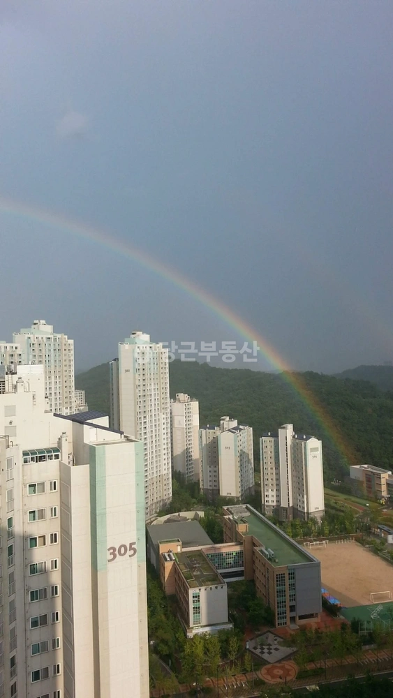경기도 성남시 분당구 판교동 아파트 사진 1