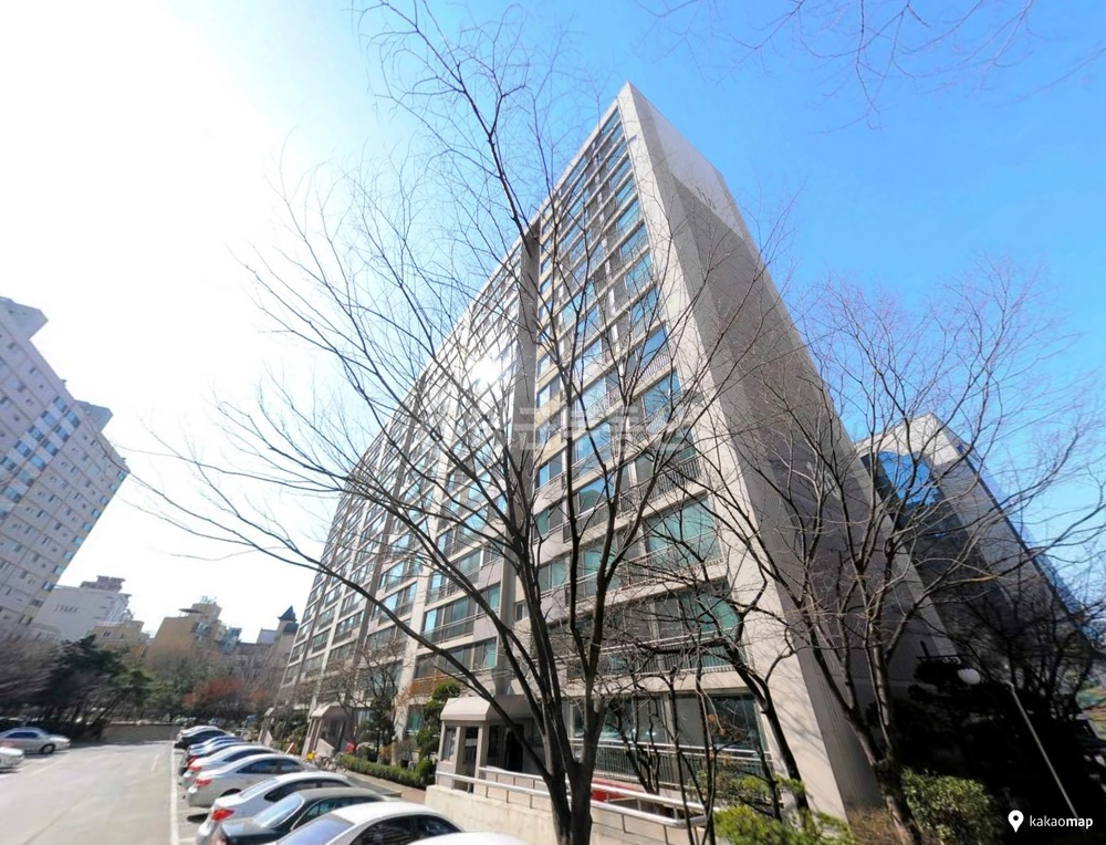서울특별시 강남구 도곡동 아파트 사진 1