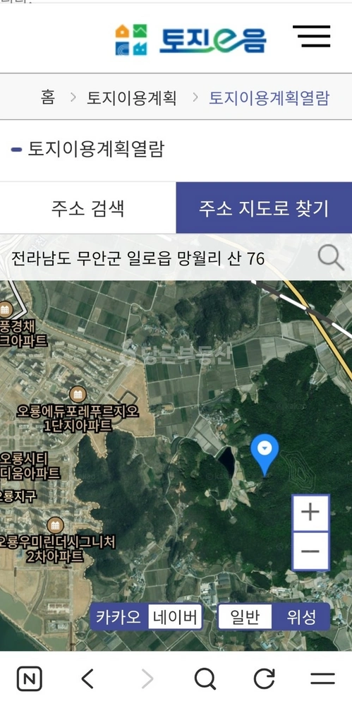 전남광주통합특별시 무안군 일로읍 토지 사진 1
