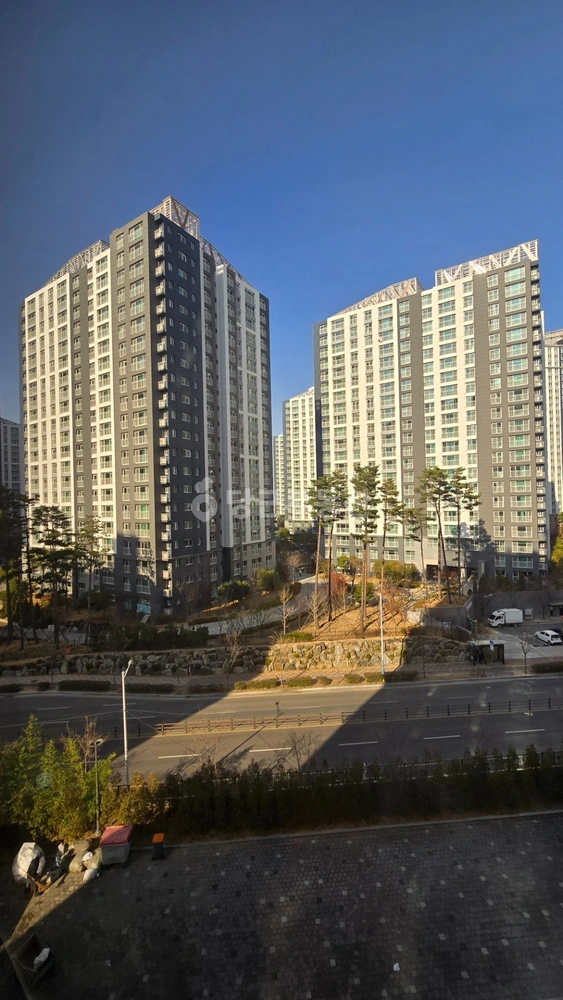 부산광역시 강서구 명지동 아파트 사진 1