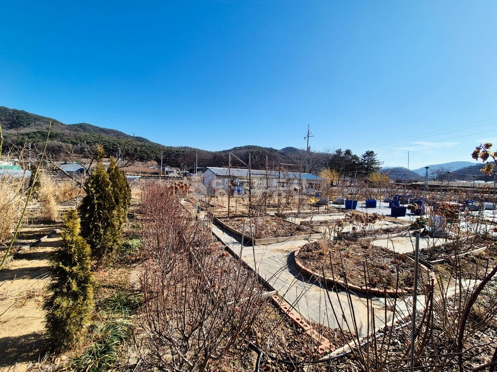 경상북도 경산시 용성면 토지 사진 1