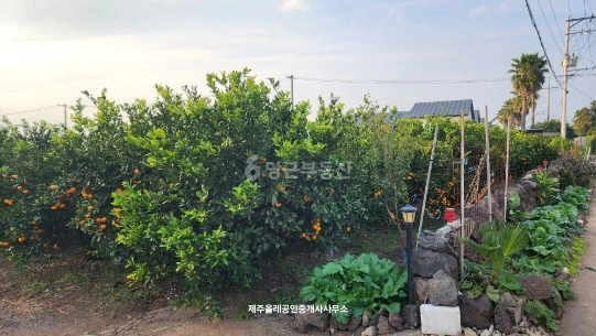 제주특별자치도 서귀포시 표선면 토지 사진 1