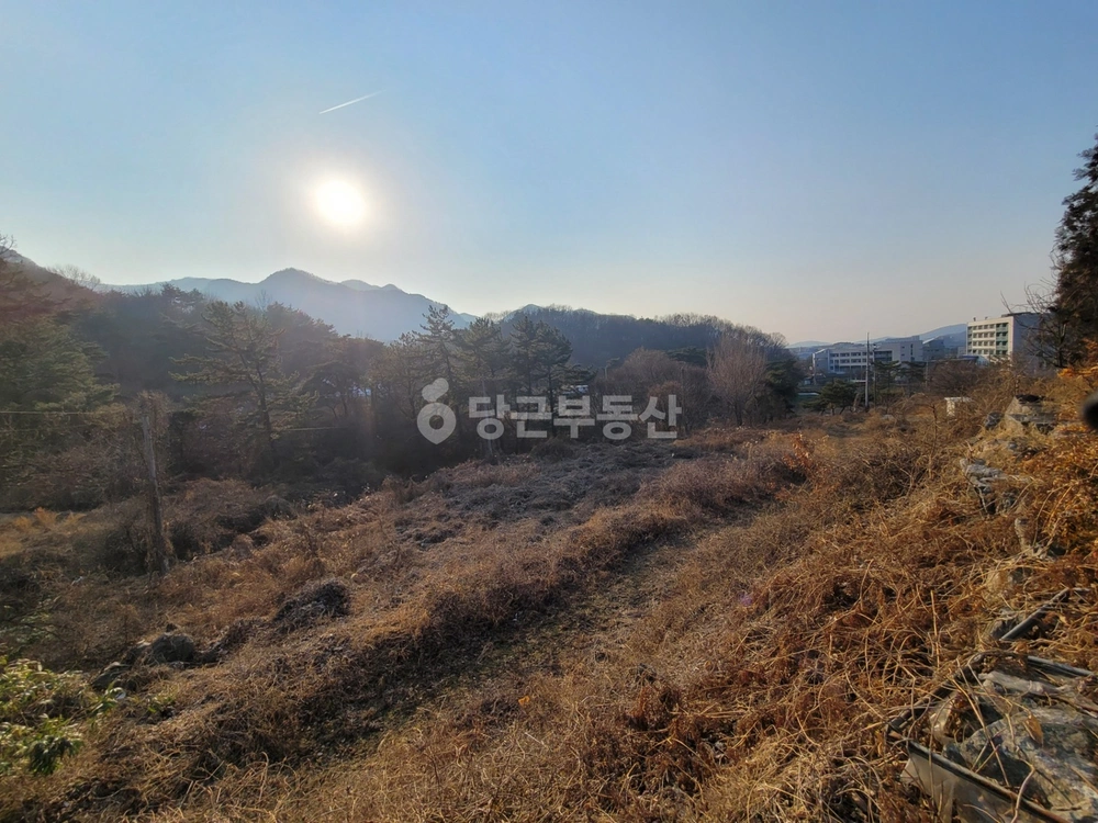 전북특별자치도 정읍시 신정동 토지 사진 1