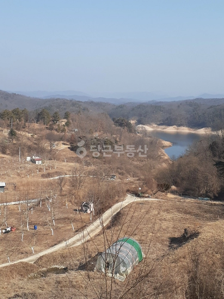 경상북도 안동시 임하면 토지 사진 1